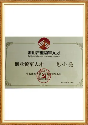 Taishan leading talent