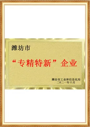 Specialized and innovative enterprise