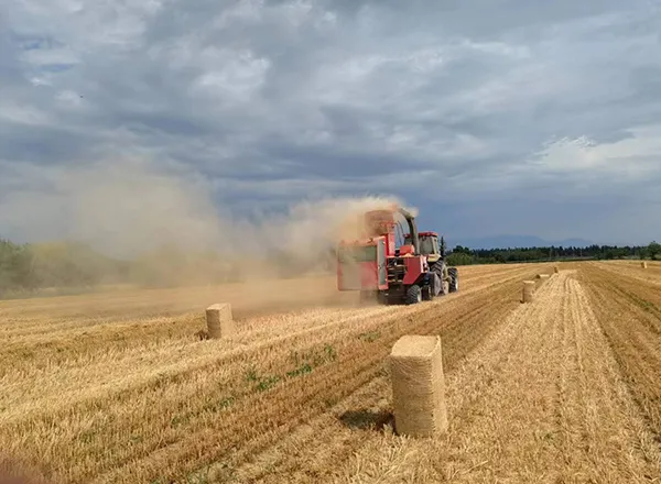 Bundle Hay