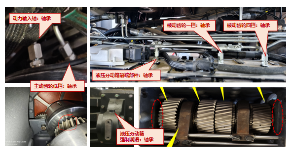 Shower lubrication system